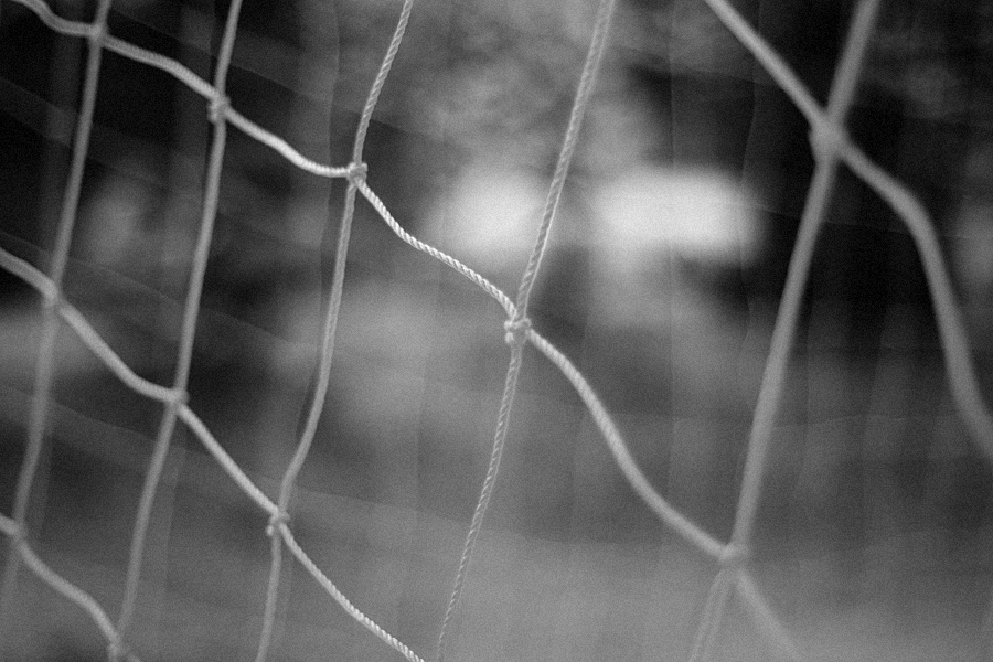 sbn_GK3F8717 copy.jpg