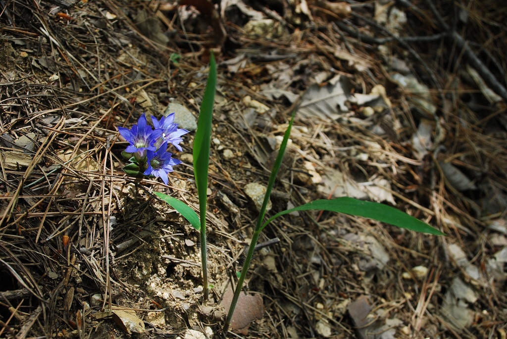 1024-100509 087-1.jpg