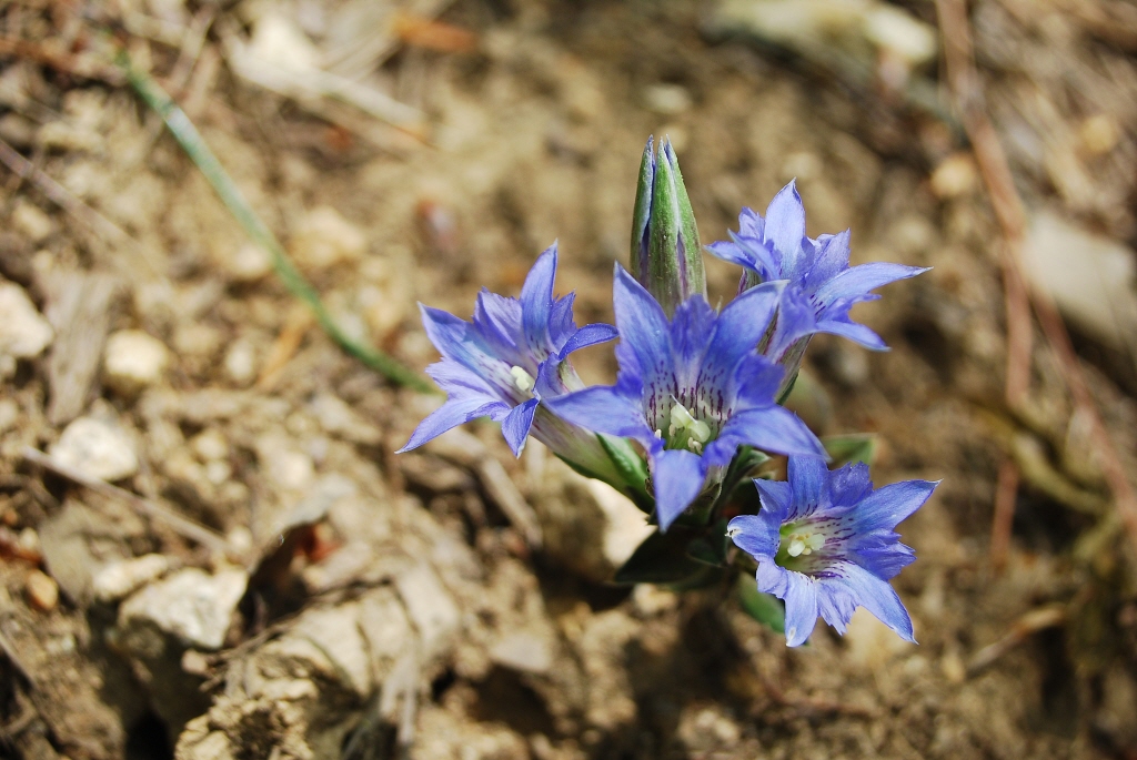 1024-100509 089-1.jpg