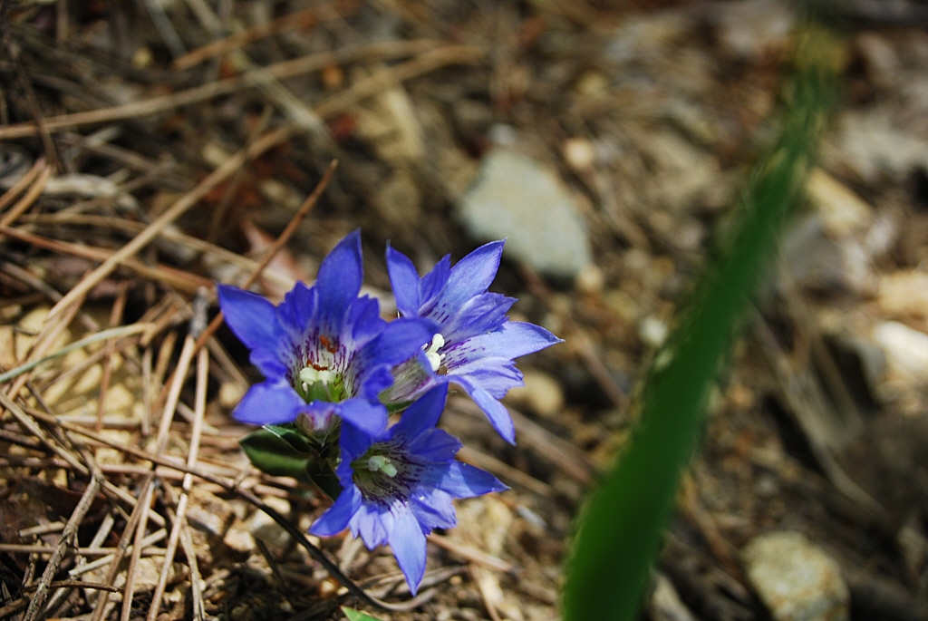 1024-100509 090-1.jpg