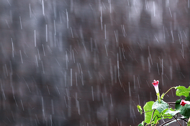 3-날씨사나운 어느날불행이찿아왔어.jpg