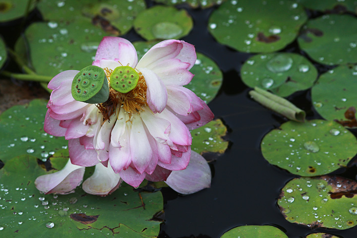 7-너혼자 보내지 않아.jpg