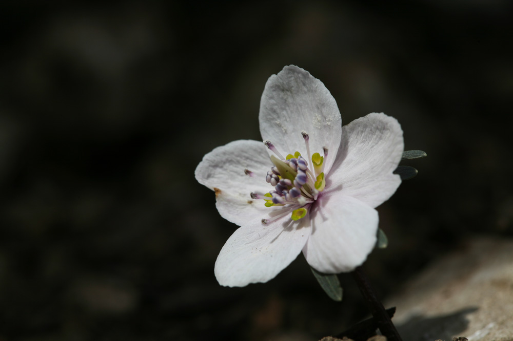 10-02-18 cjd 153-1.jpg