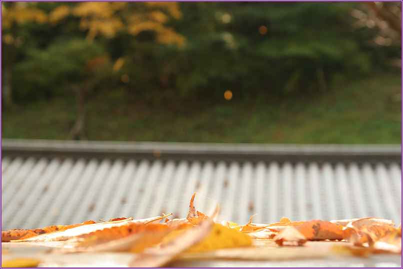 사본 -untitled0.jpg