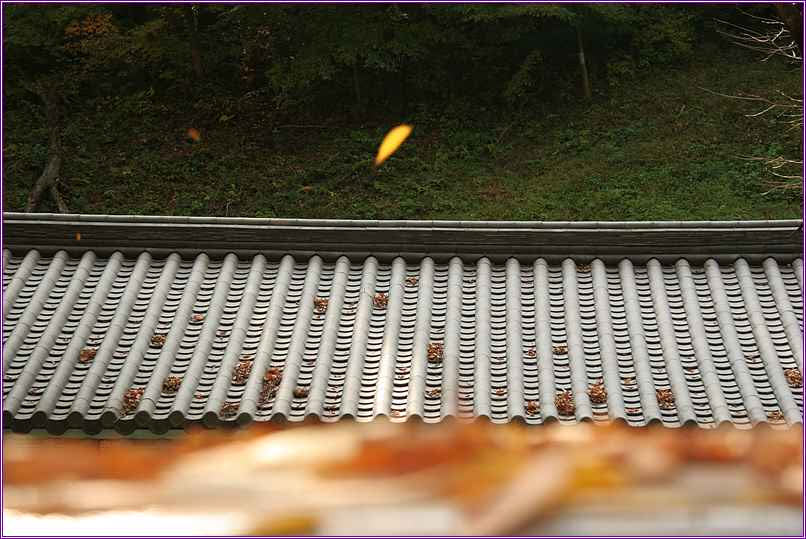 사본 -untitled9.jpg