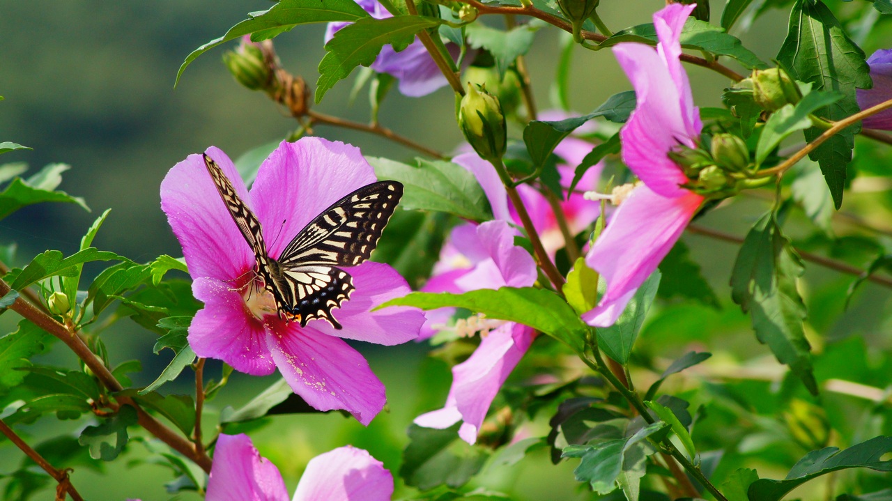 1280 130901 침산동874.jpg