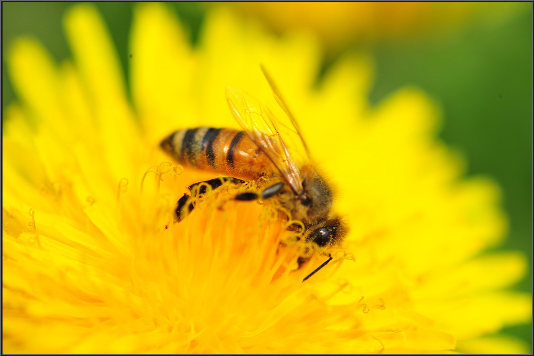 120416gongju (5).jpg