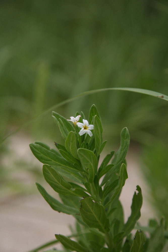 10-06-18  cjd 210-1.jpg