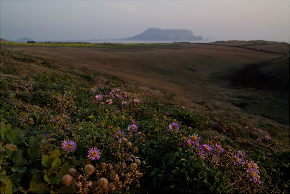 sunrise_jeju_04.jpg