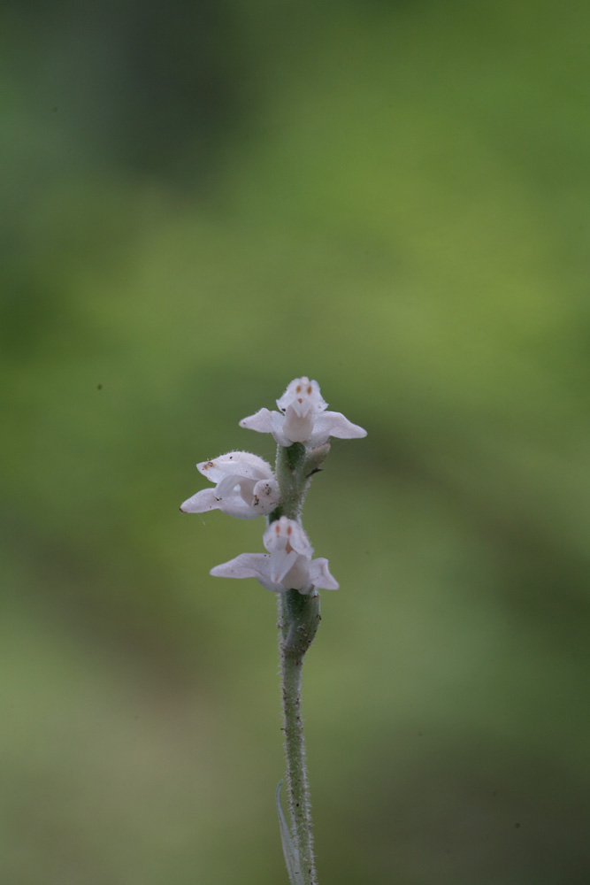 09-08-09 cjd 078-1.jpg