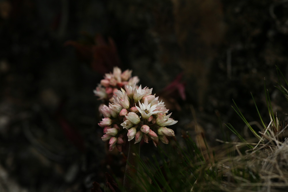 09-04-04 cjd 270-1.jpg