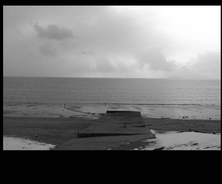 사본 -canon-100.jpg