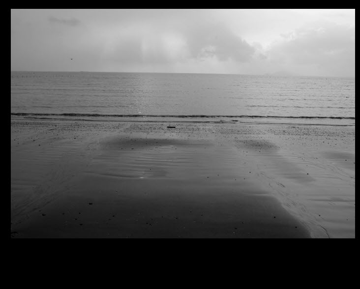 사본 -canon-103.jpg