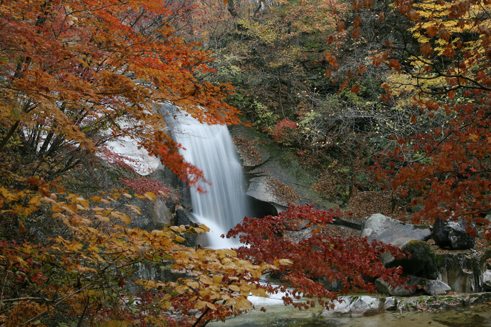 09-10-18 cjd 068-1.jpg