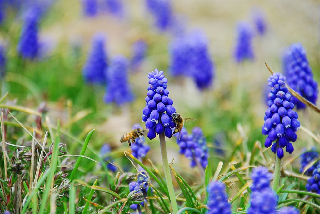 1024-100411 085-1.jpg