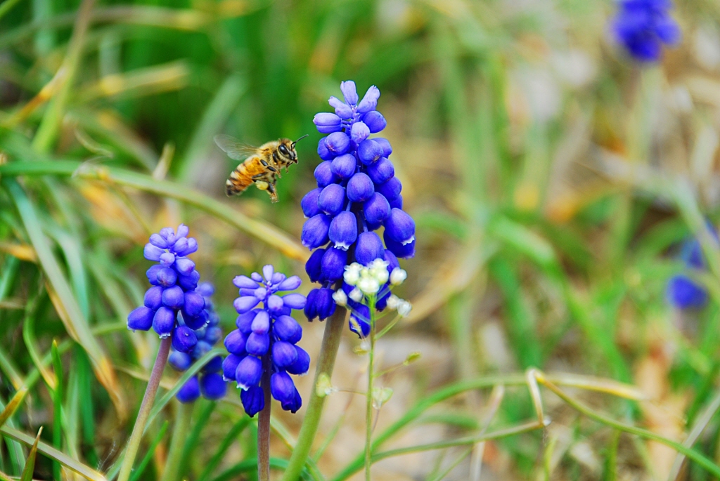 1024-100411 095-1.jpg