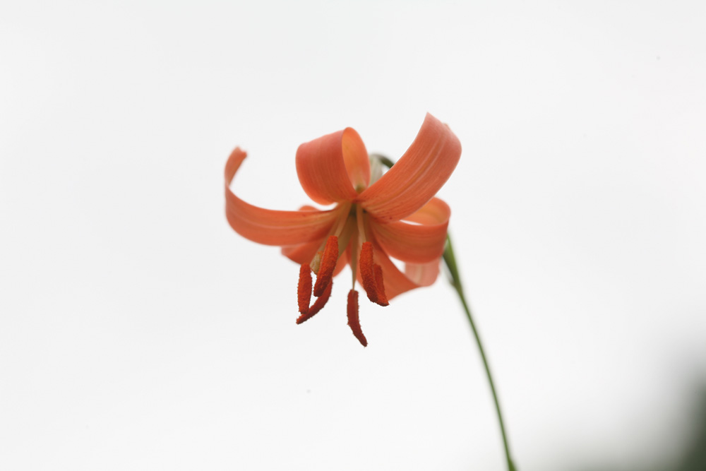 09-07-13 cjd 044-1.jpg