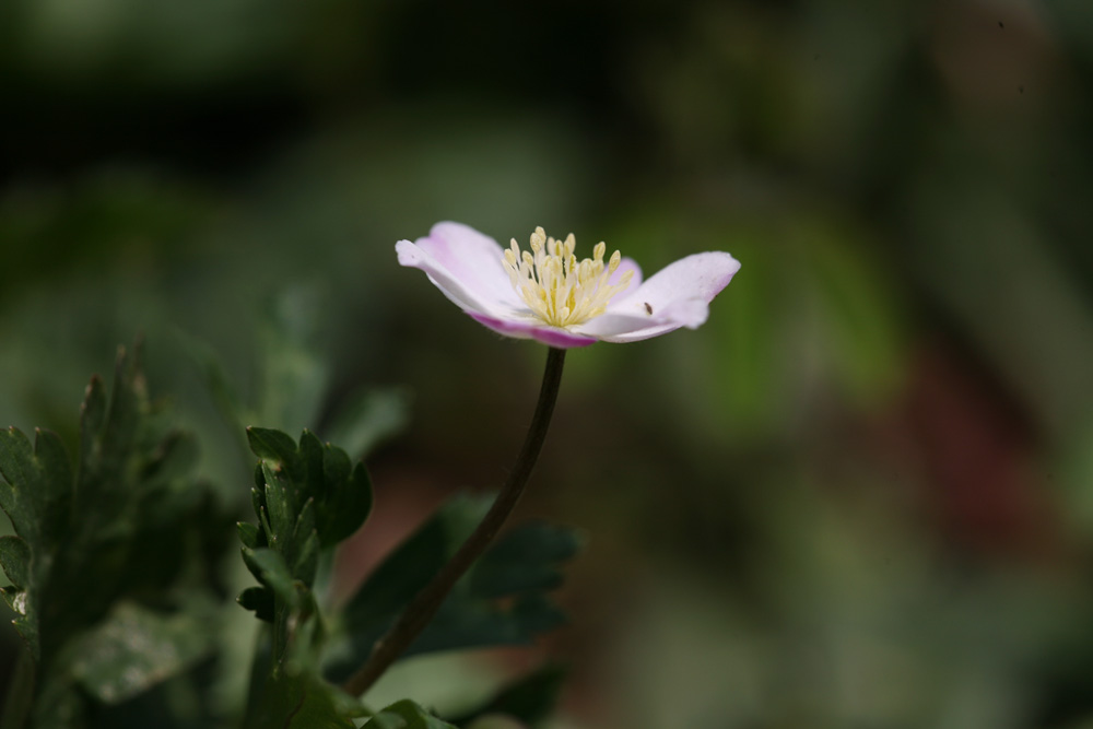 09-04-18 cjd 320-1.jpg