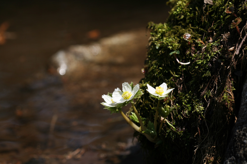 10-04-25 cjd 111-1.jpg