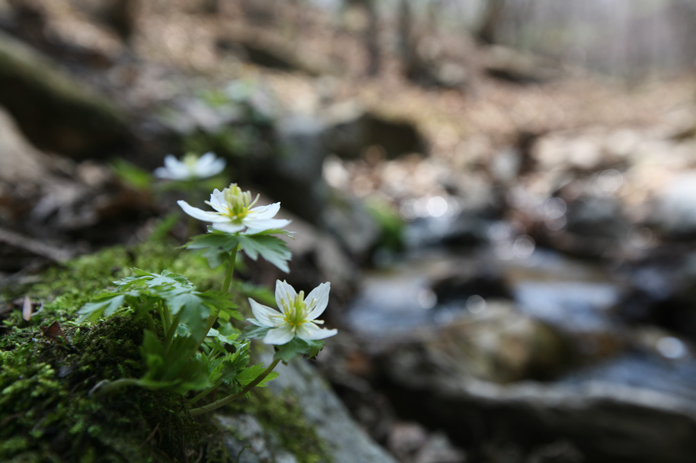 10-04-25 cjd 127-1.jpg