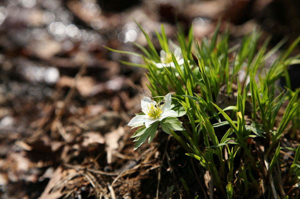 10-04-25 cjd 281-1.jpg