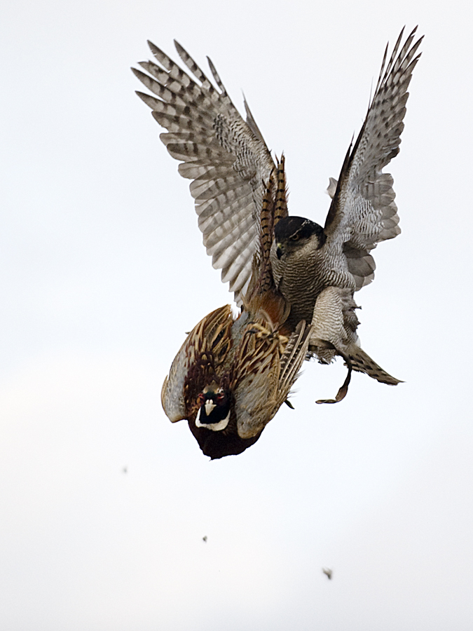 사본 - DSC_6643 copy.jpg