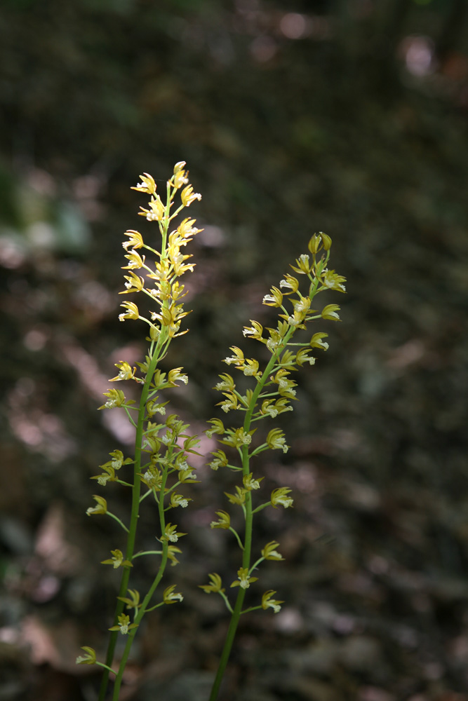 09-05-08 cjd 077-1.jpg