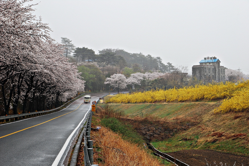 500-110407 광양 하동 구례075.JPG