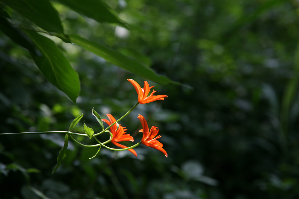 10-07-06 tad 125-1.jpg