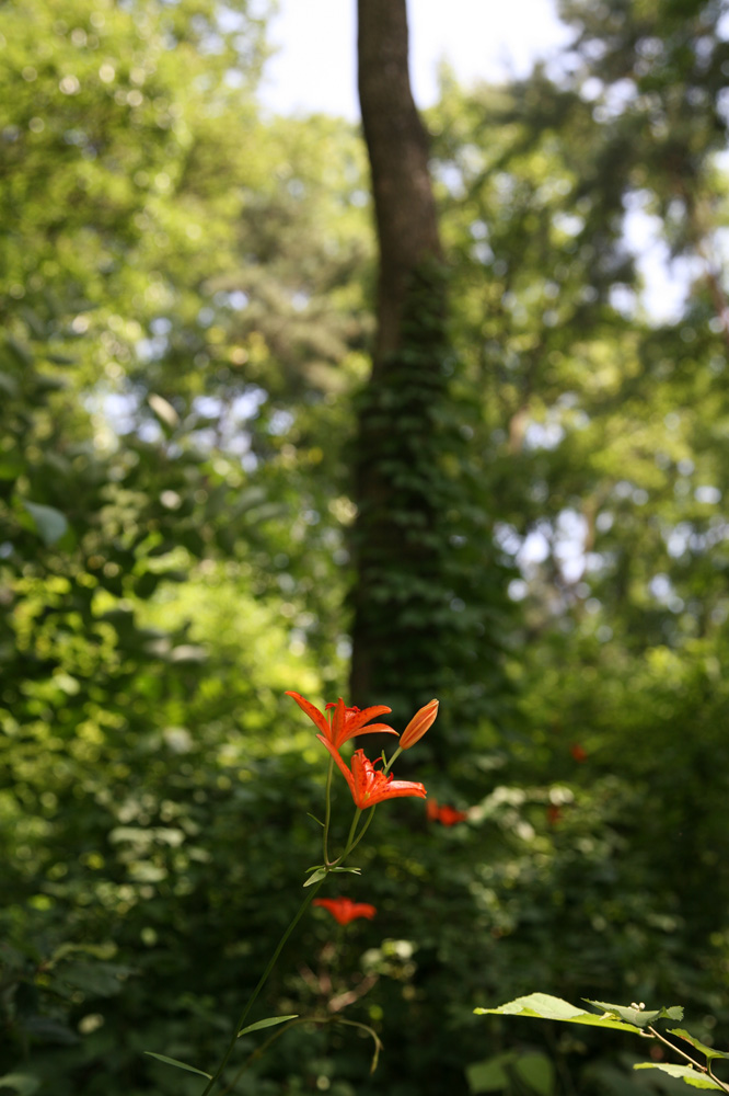 10-07-06 tad 148-1.jpg