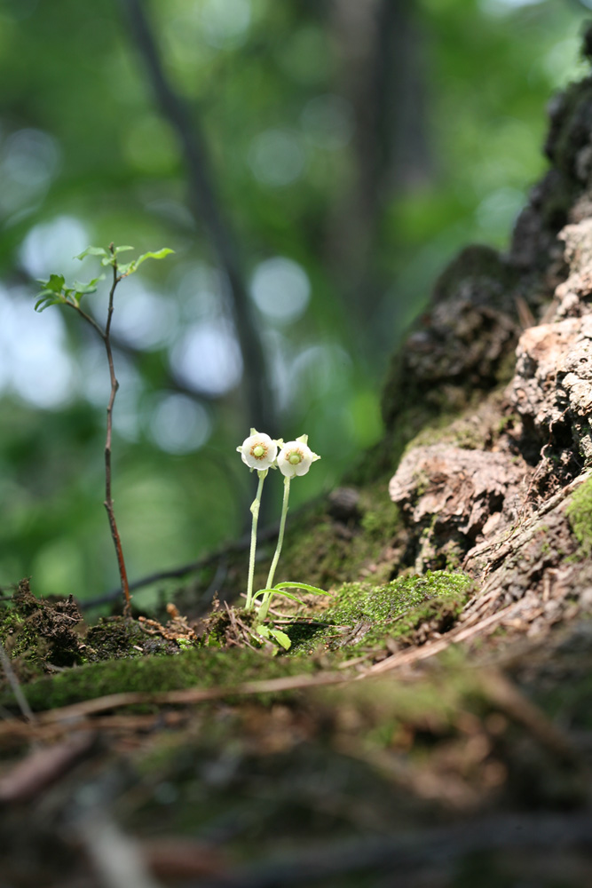 09-06-16 cjd 063-1.jpg