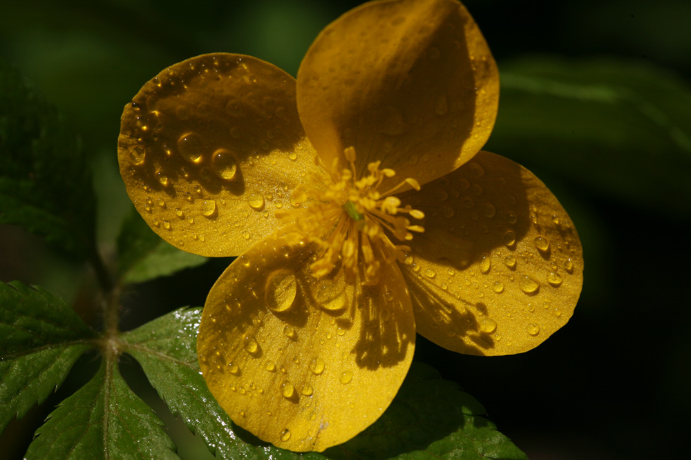 09-04-23 cjd 104-1.jpg