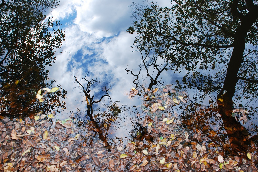 1024 111111 우포 반곡 월류 146.jpg