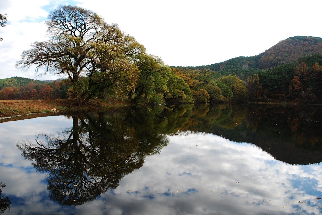 1024 111111 우포 반곡 월류 150.jpg