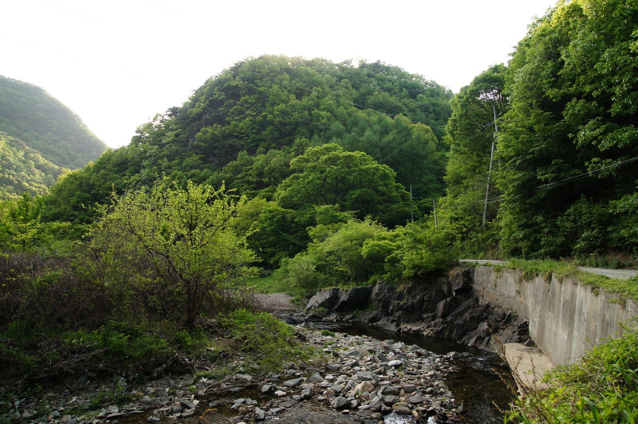 1280 120505 옥천 안내면 비포장길203.jpg