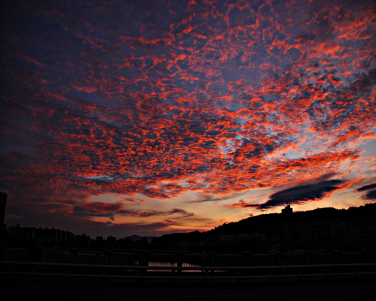 1280 110717 아침하늘 032.jpg