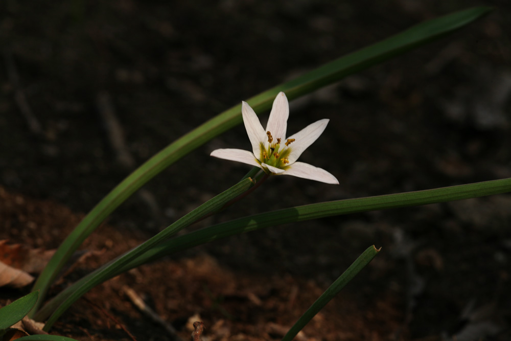 09-04-08 cjd 055-1.jpg