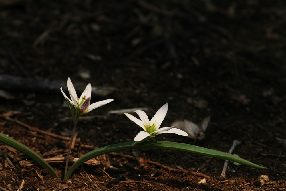 09-04-08 cjd 058-1.jpg