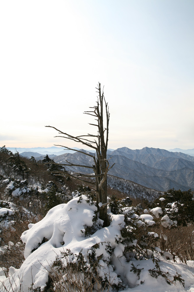 11-01-21 tad 028-1.jpg