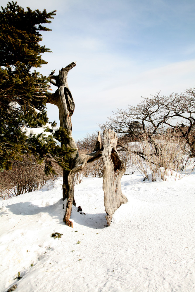 11-01-21 tad 040-1.jpg