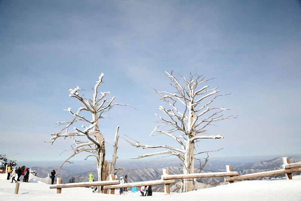 11-01-21 tad 067-1.jpg