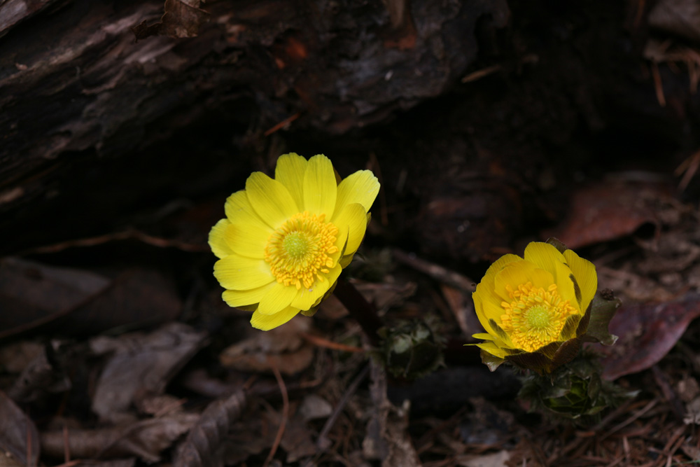 09-02-25 cjd 035-1.jpg