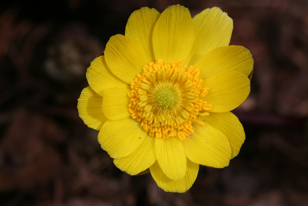 09-02-25 cjd 059-1.jpg