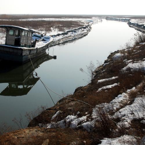 언제까지 묶여있어야...