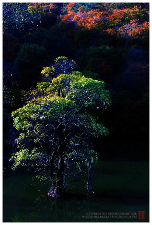 태고의 숨결을 찾아서...