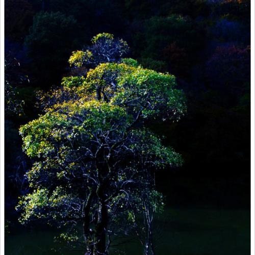 태고의 숨결을 찾아서...