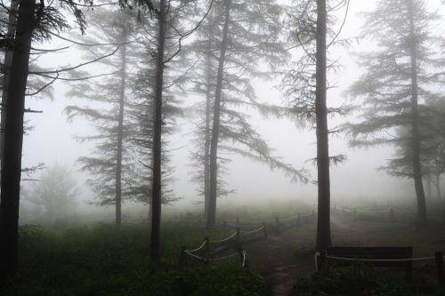 만항재 입니다...