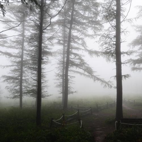 만항재 입니다...