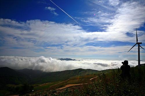 고냉지 채보밭에서..