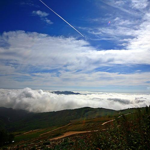 고냉지 채보밭에서..